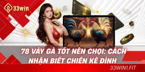 78 vảy gà tốt nên chọi 33win