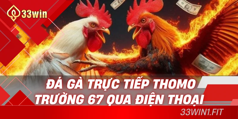 Đá gà trực tiếp Thomo trường 67 qua điện thoại